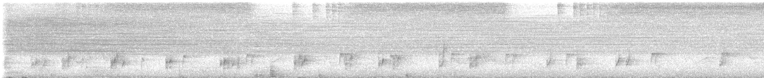 Carolina Wren - ML642227390