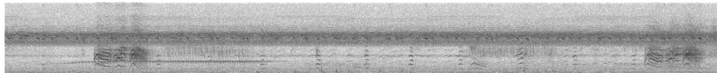 Black-lored Babbler - ML642228574