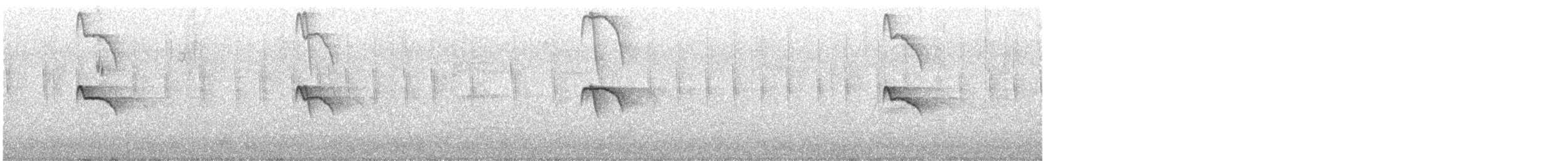 Black Phoebe - ML642229527