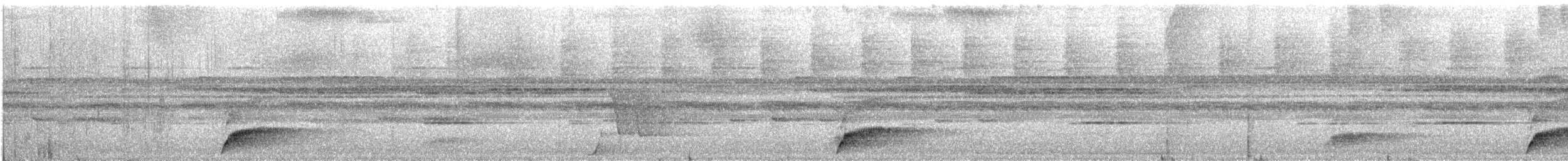 passerine sp. - ML642229659