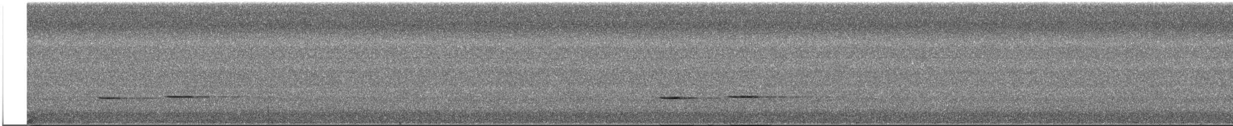 Streifenkuckuck - ML642229757