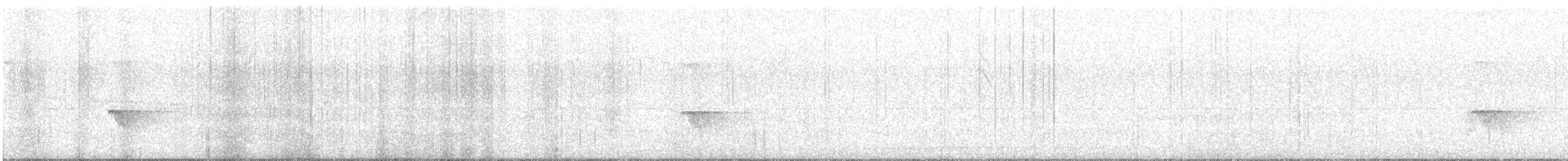 Rufous-capped Antthrush - ML642229774
