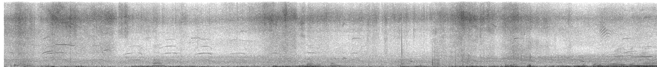 Glaucous-winged Gull - ML642231297