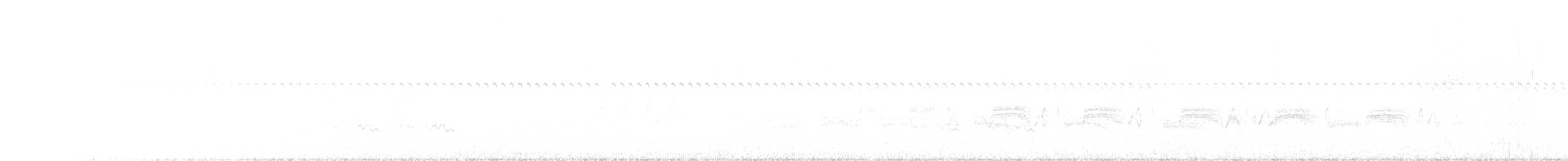 gulbukelenia - ML642232560
