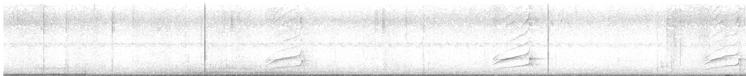 glattnebbani - ML642232983