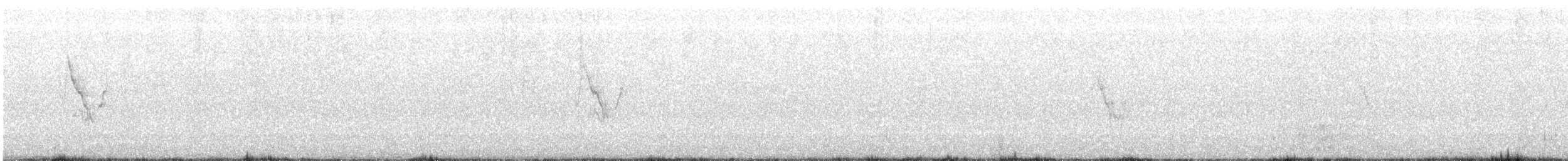 Bergeronnette grise - ML642233024