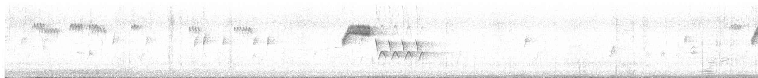 Bewick's Wren - ML642234893