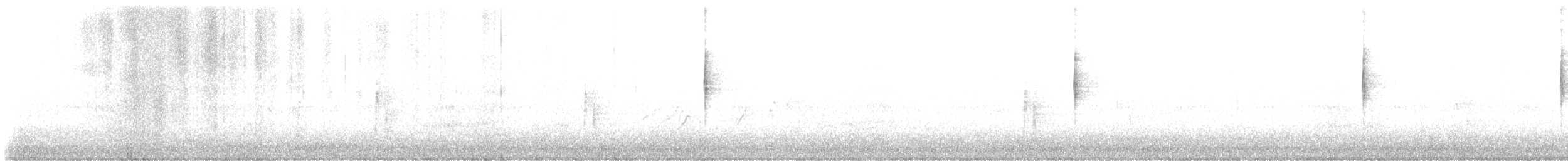 MacGillivray's Warbler - ML642235878