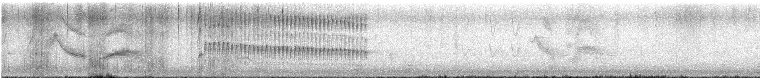 Striped Woodpecker - ML642237116