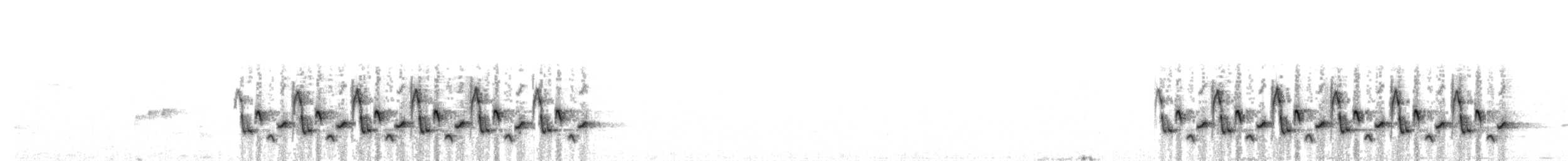 Carolina Wren - ML642237239