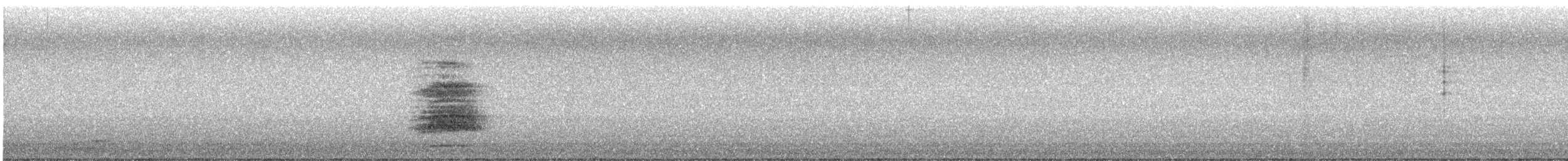 Búho Americano - ML642237586