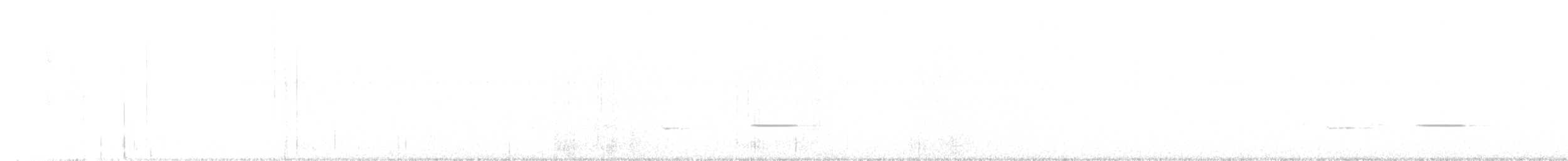Streifenkuckuck - ML642237798