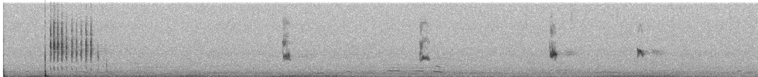 Mackinnon's Shrike - ML642238580