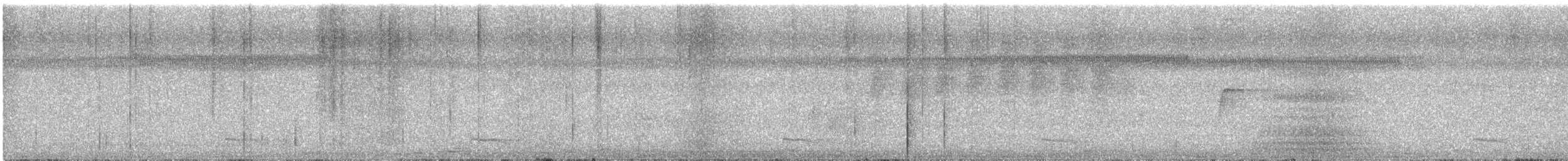 Lance-tailed Manakin - ML642239945