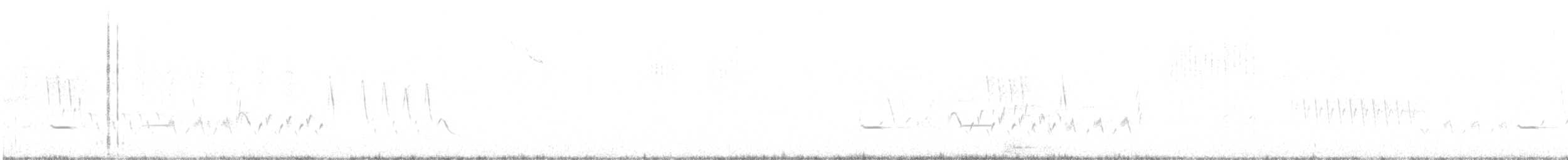 Streifenkuckuck - ML642239999