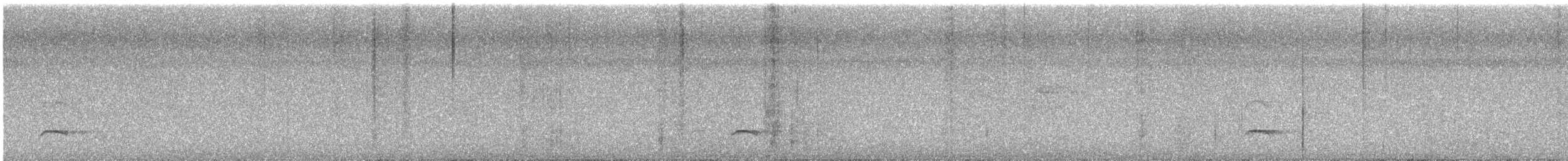 Northern White-fringed Antwren - ML642240171