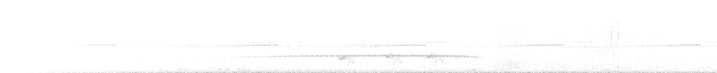 Batara moucheté - ML642241053