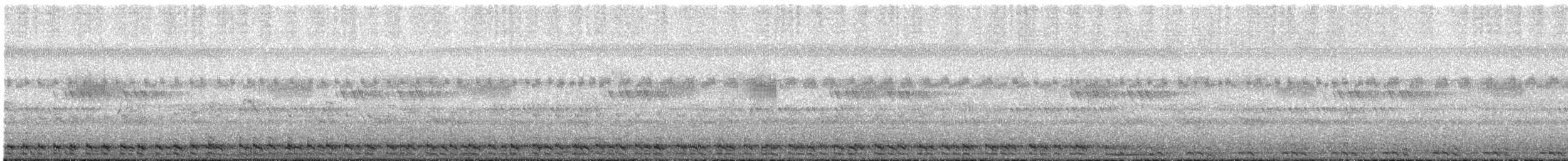 turako velký - ML642241299