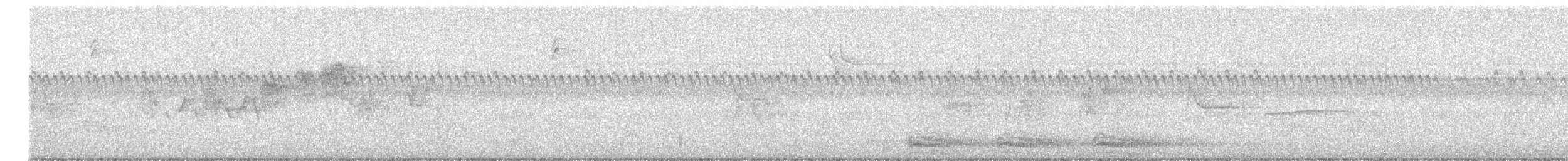 Parula Norteña - ML642241446