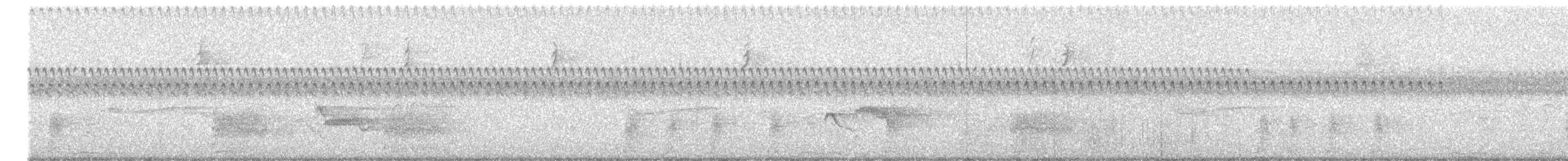 Parula Norteña - ML642241561