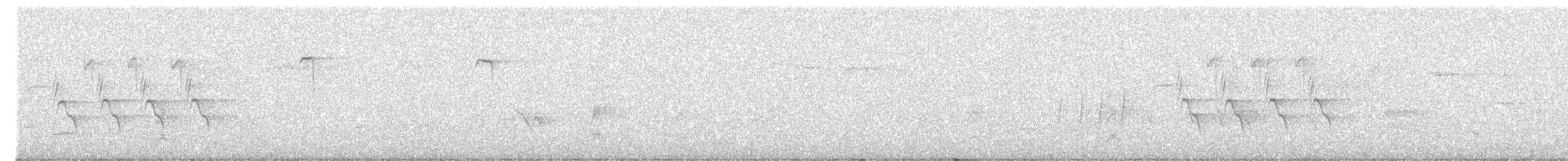 Cucarachero Colinegro - ML642241769