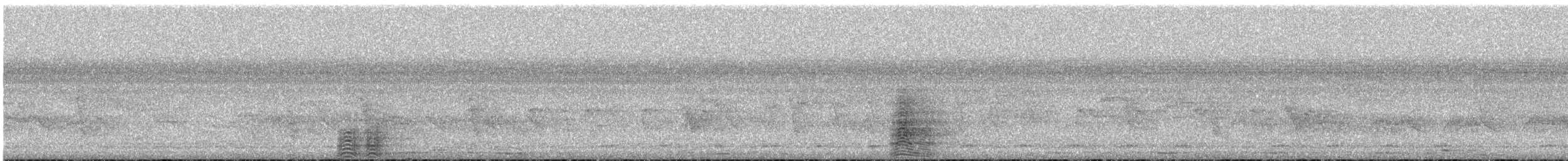 Black-and-white-casqued Hornbill - ML642242091