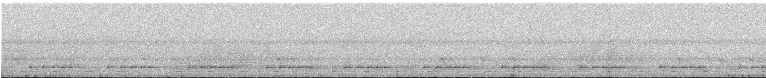 Speckled Tinkerbird - ML642242113