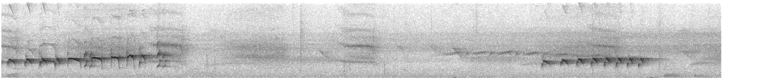 ウスグロアリドリ - ML642242594