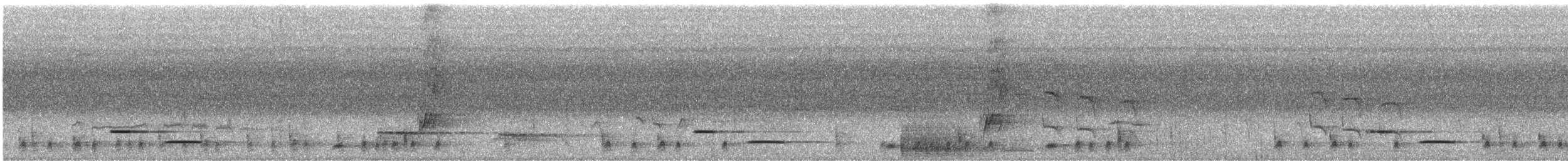 Song Wren - ML642242619