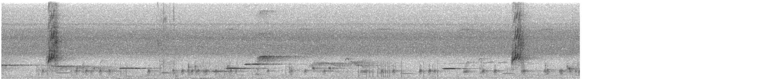 Пласкодзьоб західний - ML642242637