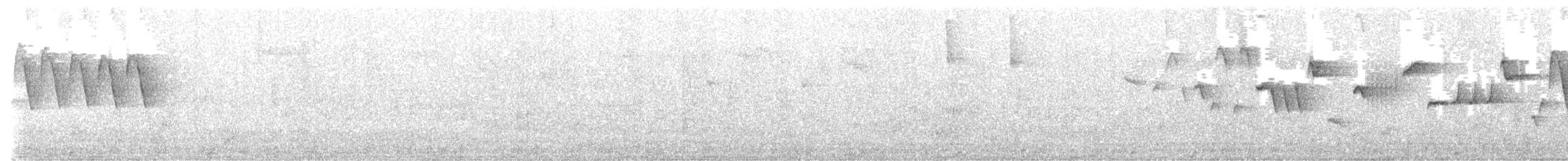 Халгайч урагчин - ML642243316