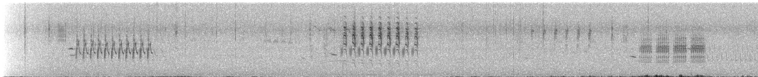 Grass Wren - ML642244358