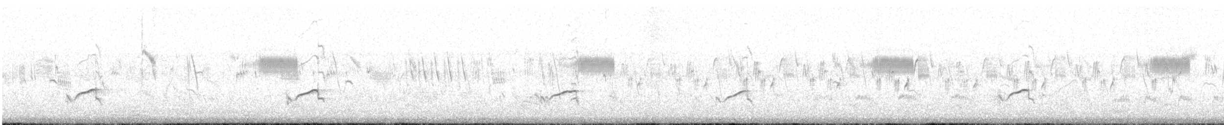 Pacific Golden-Plover - ML642245947