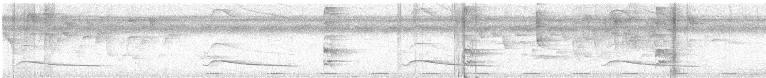 Cinnamon Attila - ML642246203