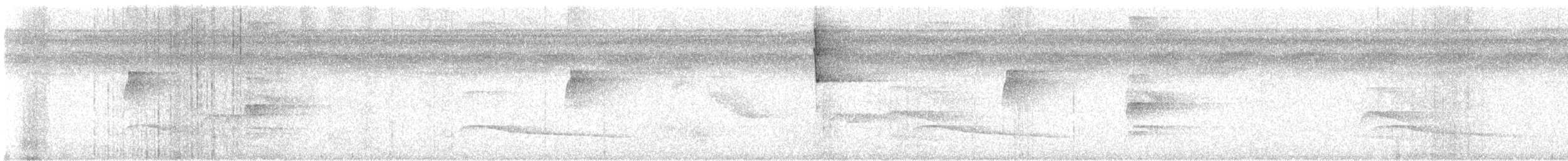 Cinnamon Attila - ML642246204