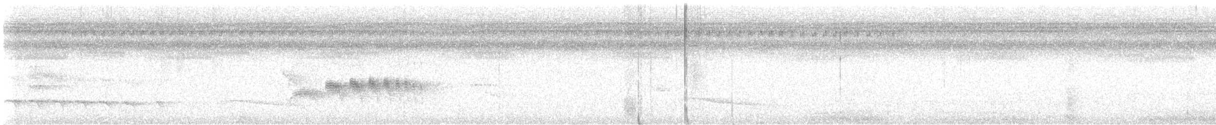 Cinnamon Attila - ML642246205