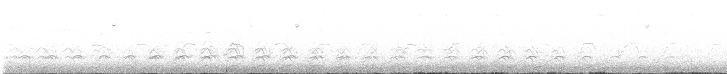 Western Gull - ML642246394