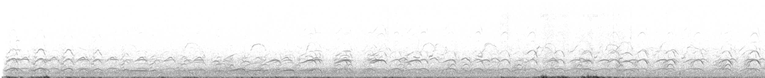Western Gull - ML642247115