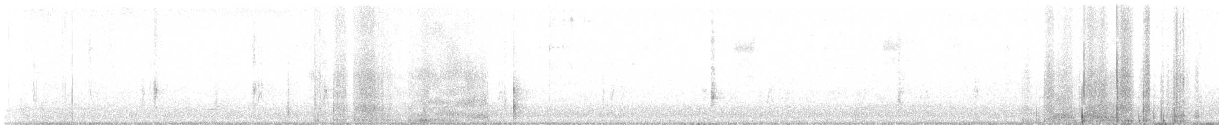 Great-tailed Grackle - ML642247326