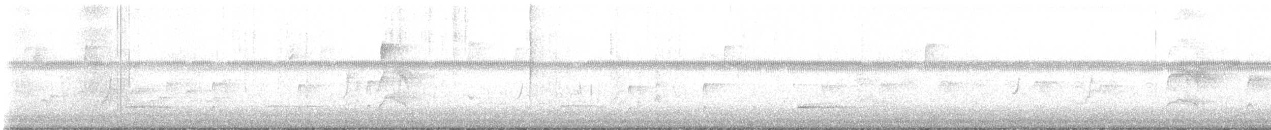 Couch's Kingbird - ML642247354