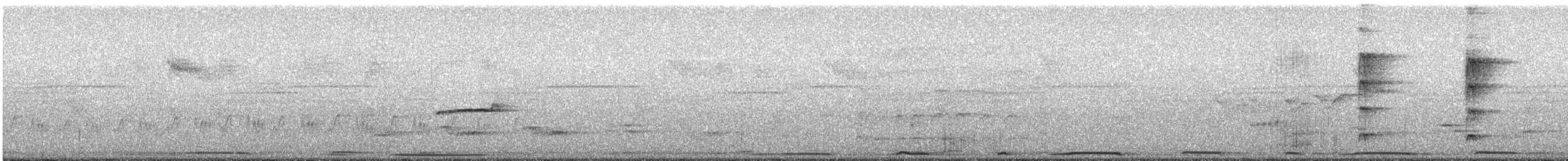 Southern Beardless-Tyrannulet - ML642247410