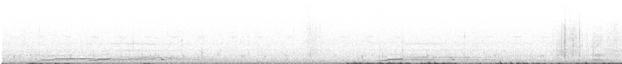 Common Loon - ML642248468