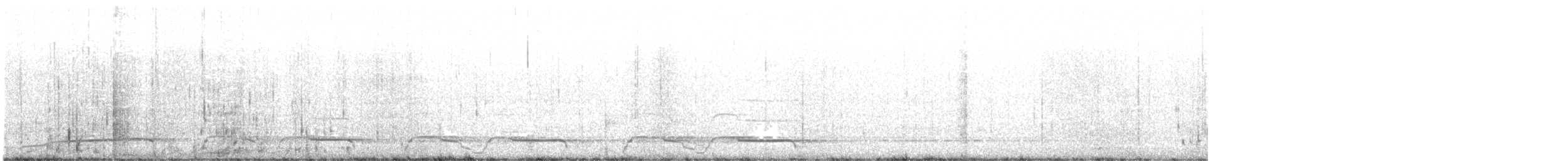 Common Loon - ML642248469