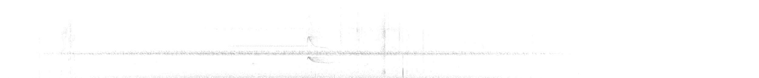 Greenish Schiffornis - ML642248494