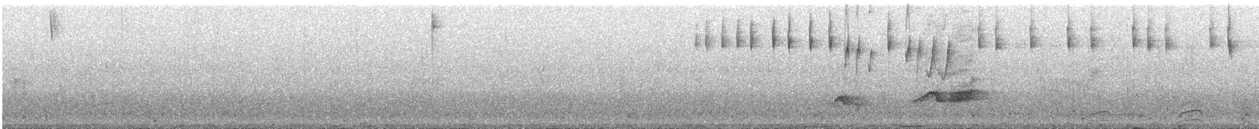 Rascón Gallineta - ML642249081