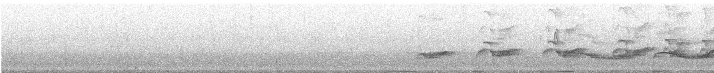 Rascón Gallineta - ML642249083