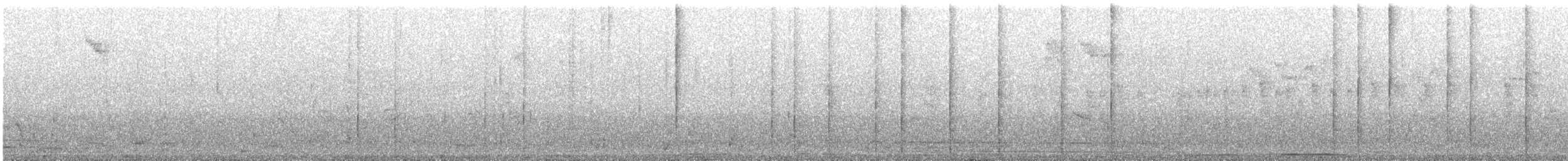 Striped Woodpecker - ML642249186