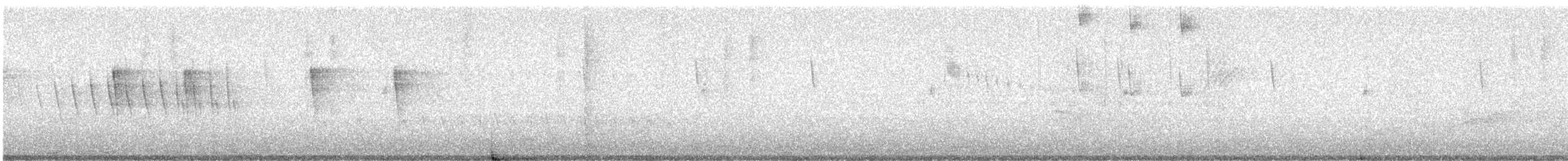 Grace's Warbler - ML642251778