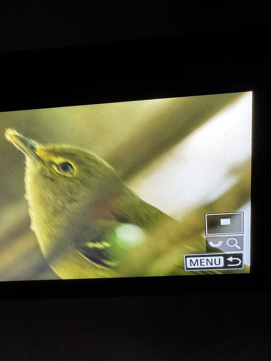eBird Checklist - 21 Sep 2025 - Park Point Nature Trail - 27 species