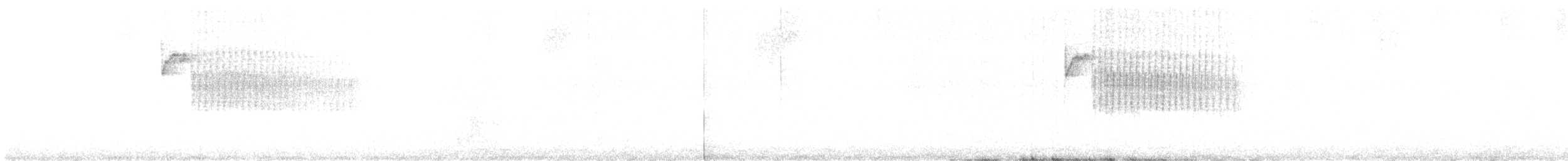hvitsideblomsterborer - ML642253171